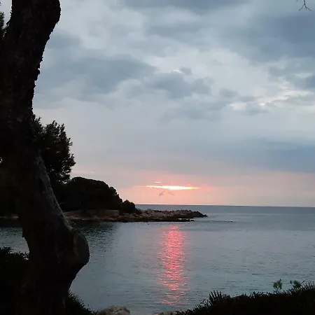 Caragol Apartamento Cala Ratjada (Mallorca)
