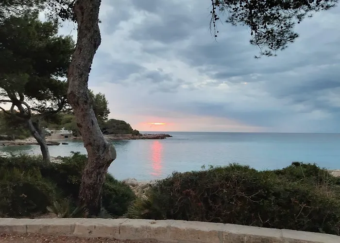 Caragol Cala Ratjada (Mallorca)