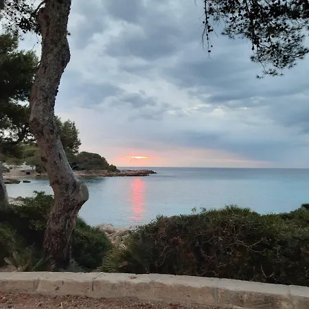 Caragol Cala Ratjada (Mallorca)